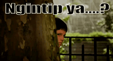 Cute GIF